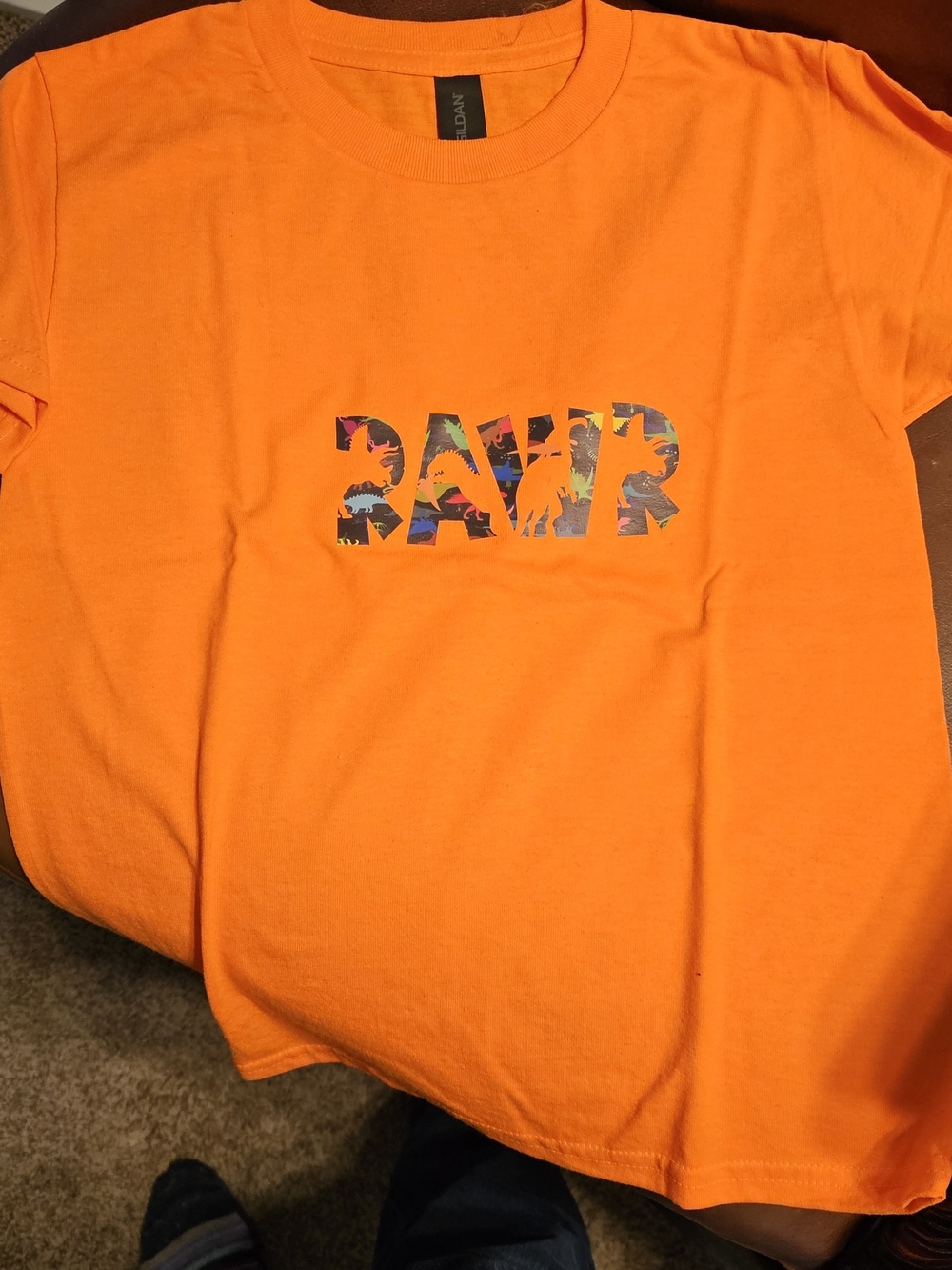 Gildan Bright Orange Kids' Short Sleeve Tee with 'RAWR' Dino Graphic